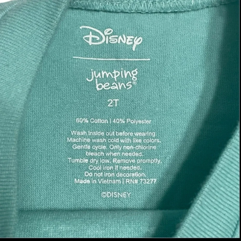 Disney fun mickey